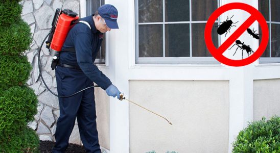 Serik Tahtakurusu İlaçlama böcek ilaçlama ve haşere kontrolü — ilaclama-tr.com